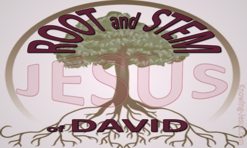Revelation 22:16 Root And Stem Of David (maroon)